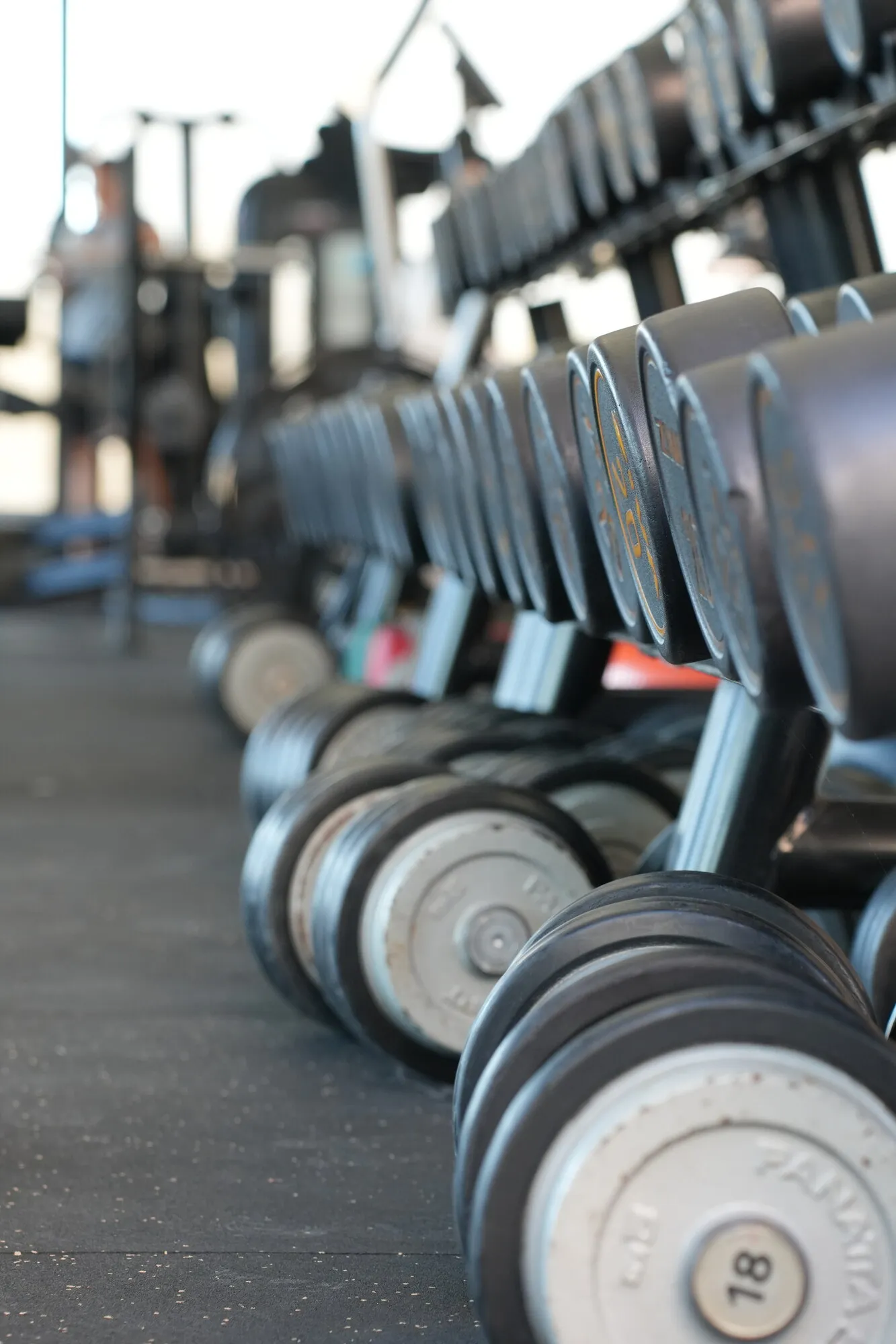 Perspective of the free weights area at Dino’s